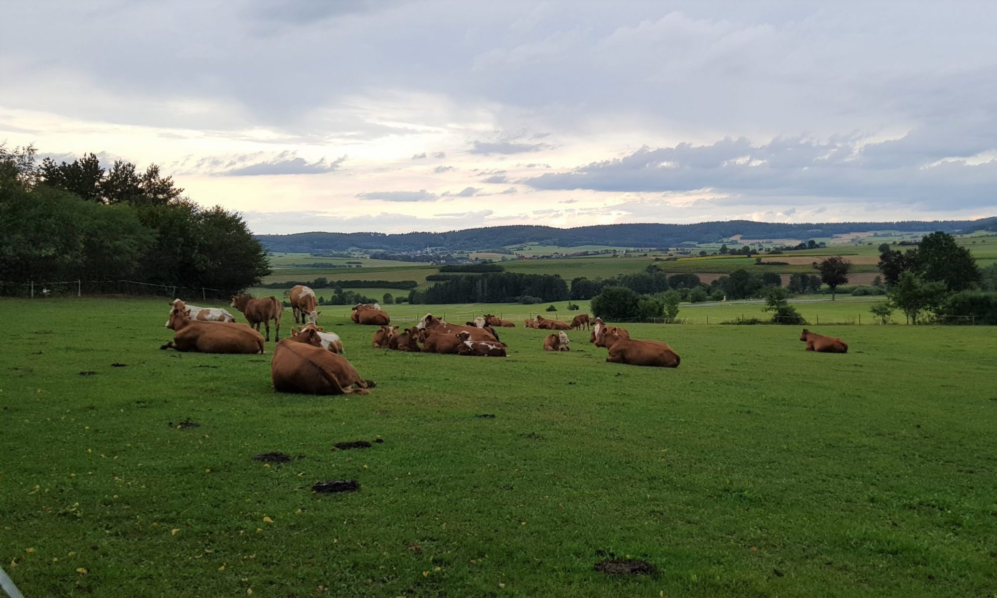 Die Hofeigene Herde in Adlitz